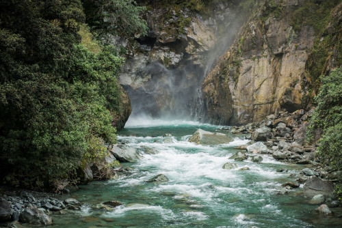 The Best Time to Visit Fiordland