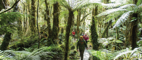 Why the Hollyford Should Be Your Next Great Walk