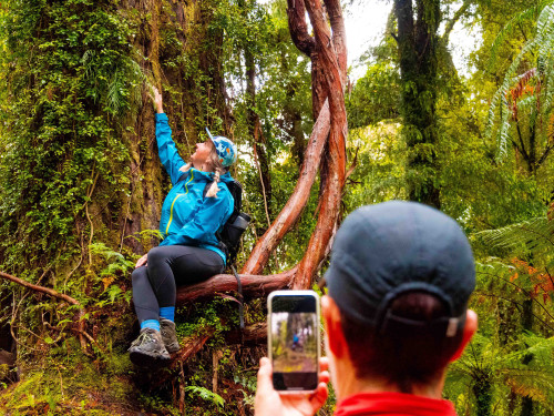 Share your Hollyford Experience and WIN